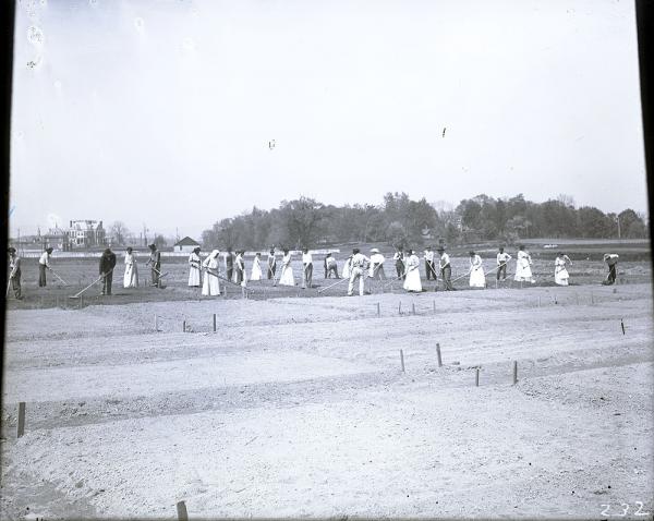 Male and Female Students Working in a Field [view 2], c. 1910