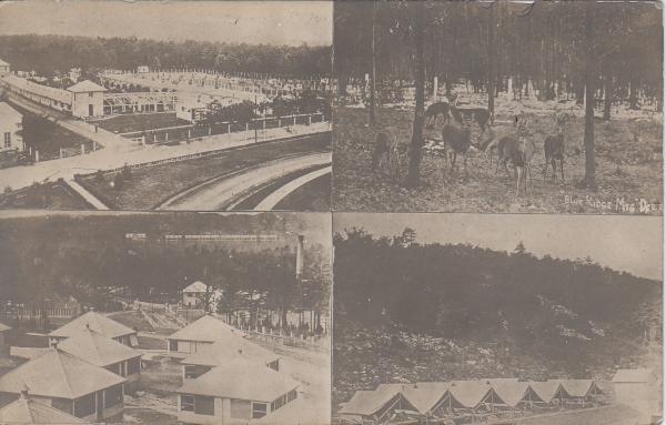 State Sanitorium in Mt. Alto, PA, c.1917