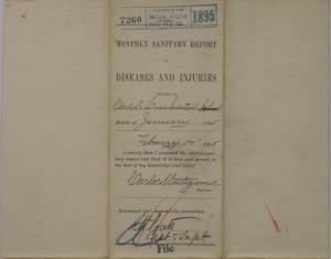 Monthly Sanitary Report of Diseases and Injuries, January 1895
