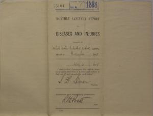 Monthly Sanitary Report of Diseases and Injuries, November 1898