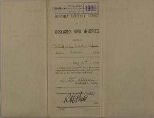 Monthly Sanitary Report of Diseases and Injuries, November 1900