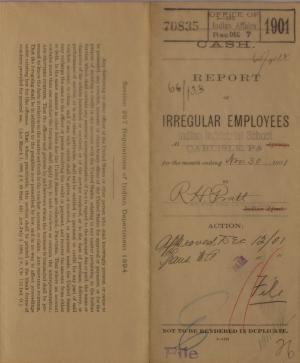 Report of Irregular Employees, November 1901