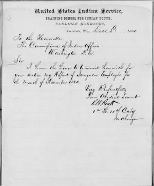 Report of Irregular Employees, November 1880