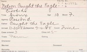 Nelson Caught the Eagle (Crooked) Student Information Card