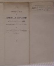 Report of Irregular Employees, November 1889