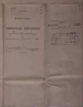 Report of Irregular Employees, June 1890