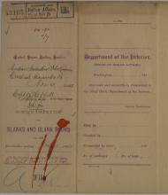Special Requisition for Blanks and Blank Books, November 1894