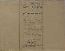 Monthly Sanitary Report of Diseases and Injuries, July 1899