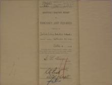 Quarterly Sanitary Report of Diseases and Injuries, September 1902