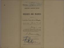 Quarterly Sanitary Report of Diseases and Injuries, June 1906