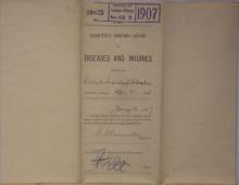 Quarterly Sanitary Report of Diseases and Injuries, December 1906
