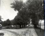 Road Behind Administration Building, c.1909