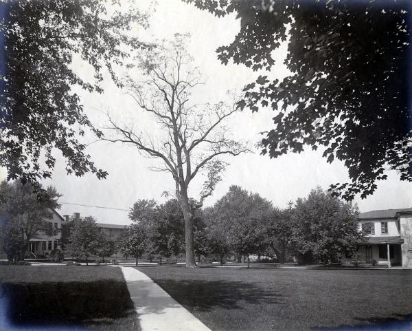 Sidewalk with Academic Building, c. 1909