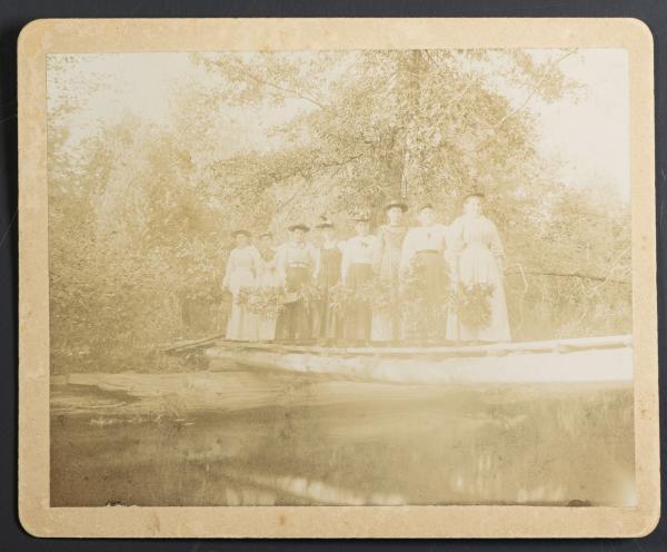 Eight female students posed on a bridge in the woods, c.1894