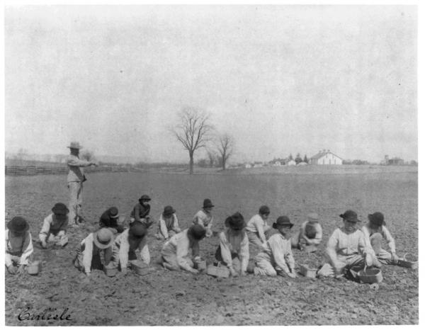Students Planting Onions [version 2], 1901