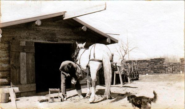 David Little Old Man Shoeing a Horse, 1910