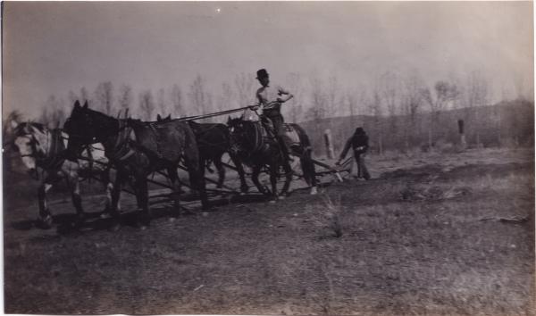 David Little Oldman Plowing Field, #1, 1910