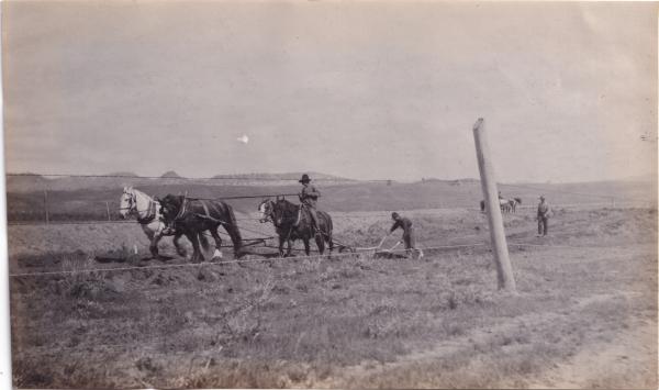David Little Oldman Plowing Field, #2, 1910