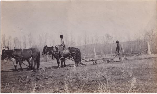 David Little Oldman Plowing Field, #4, 1910