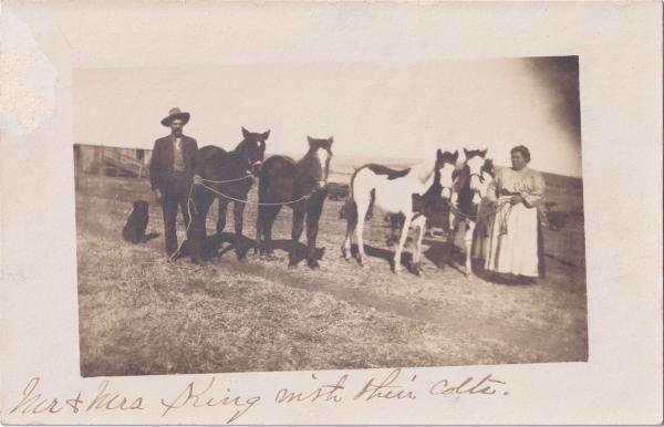 Charles and Ellen King with Colts, c.1909