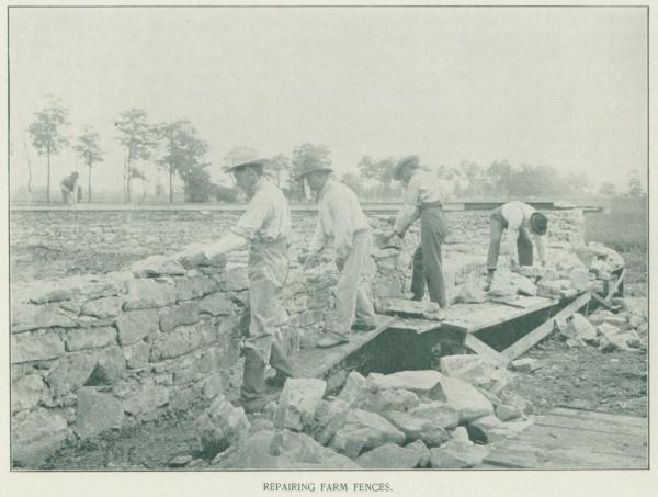 Students Repairing Stone Farm Fences, 1901
