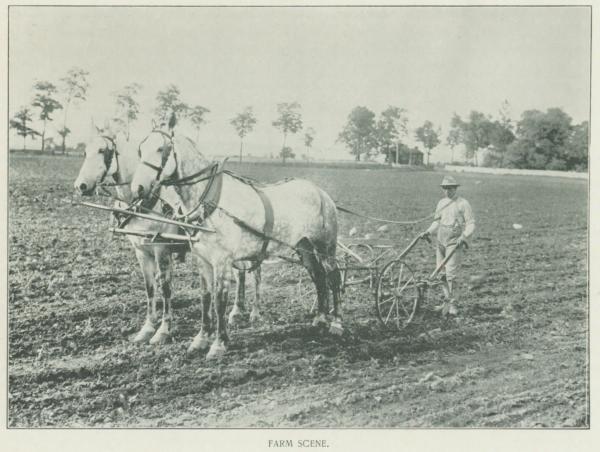 Student Plowing a Field, 1901