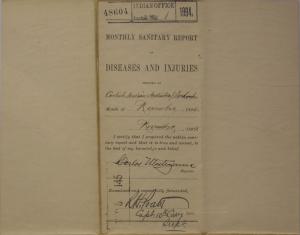 Monthly Sanitary Report of Diseases and Injuries, November 1894