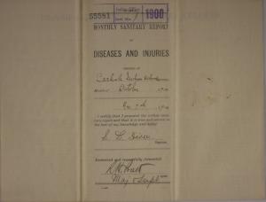 Monthly Sanitary Report of Diseases and Injuries, October 1900