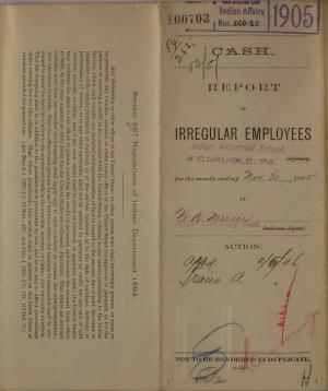 Report of Irregular Employees, November 1905