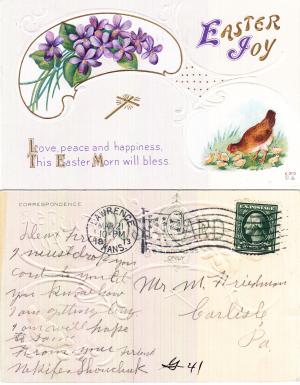 Nikefer Shoushick Student File Nikefer Shoushick Student File