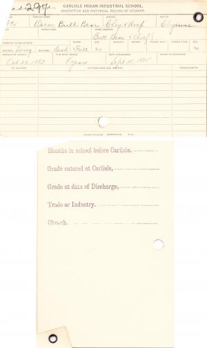 Oscar Bull Bear Student File Oscar Bull Bear Student File