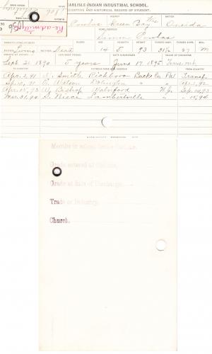 Whitney Powlas Student File Whitney Powlas Student File