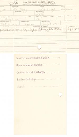 Ella Hippy Student File Ella Hippy Student File