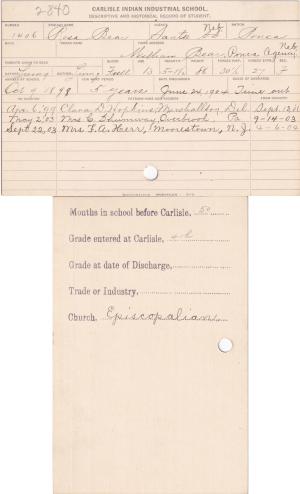 Rosa Bear Student File