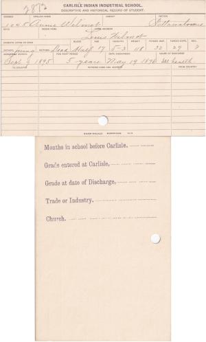 Annie Wilmot Student File