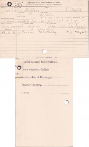Alice Sheffield (Tsinna) Student File Alice Sheffield (Tsinna) Student File
