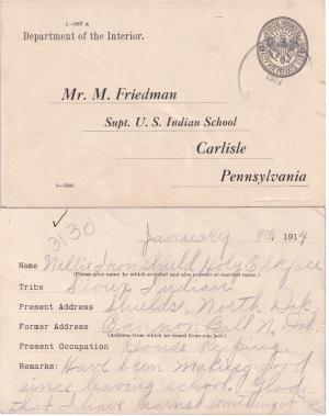 Nellie Ironshield Student File Nellie Ironshield Student File