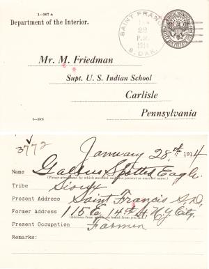 Gallus Spotted Eagle Student File Gallus Spotted Eagle Student File