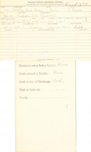 Chloe Bad Baby (Medicine Robe) Student Information Card Chloe Bad Baby (Medicine Robe) Student Information Card