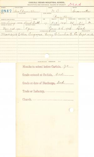 George Bears Arm Student Information Card George Bears Arm Student Information Card