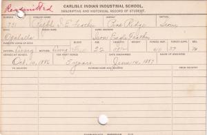Ralph Iron Eagle Feather (War Bonnet) Student Information Cards