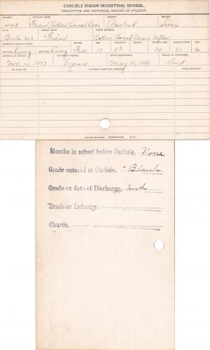 Friend Hollow Horned Bear (Friend) Student Information Card Friend Hollow Horned Bear (Friend) Student Information Card