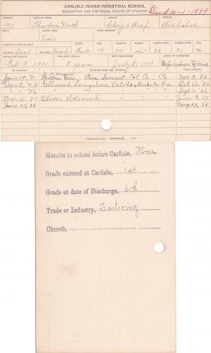 Theodore North (Hair) Student Information Card Theodore North (Hair) Student Information Card