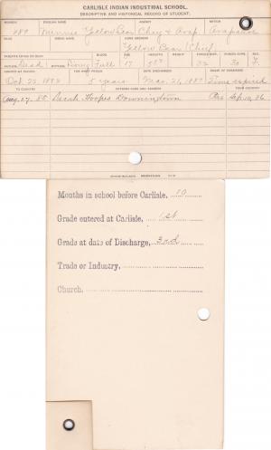 Minnie Yellow Bear Student Information Cards Minnie Yellow Bear Student Information Cards