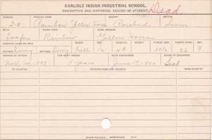 Rainbow Yellow Horse Student Information Card Rainbow Yellow Horse Student Information Card