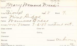 Mary Womans Dress Student Information Card