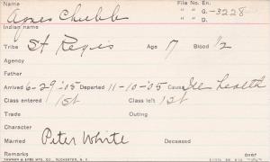 Agnes Chubb Student Information Card
