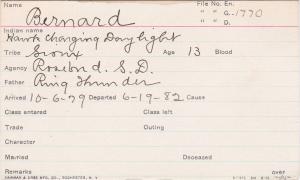 Bernard (Hawk Charging Daylight) Student Information Card
