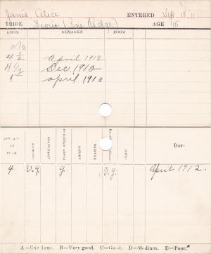 Alice Janis Progress Card Alice Janis Progress Card