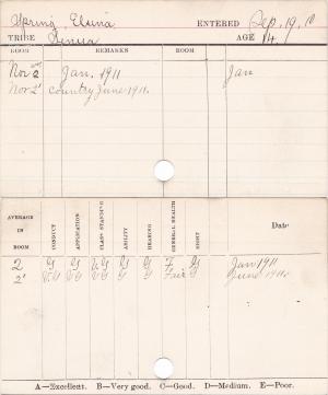 Elsina Spring Progress Card Elsina Spring Progress Card